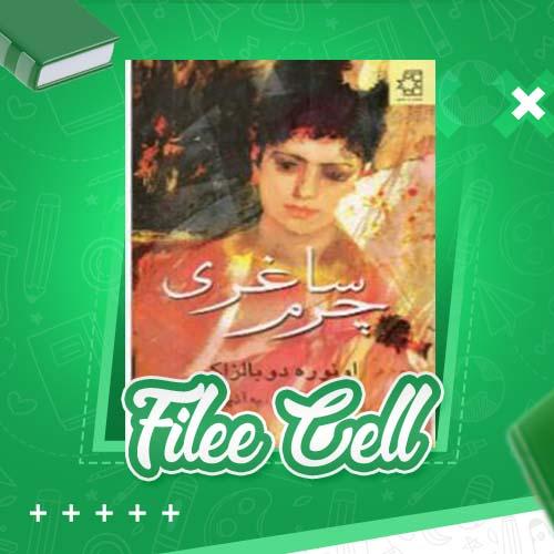 دانلود کتاب چرم ساغری فئودوار (PDF) 204 صفحه